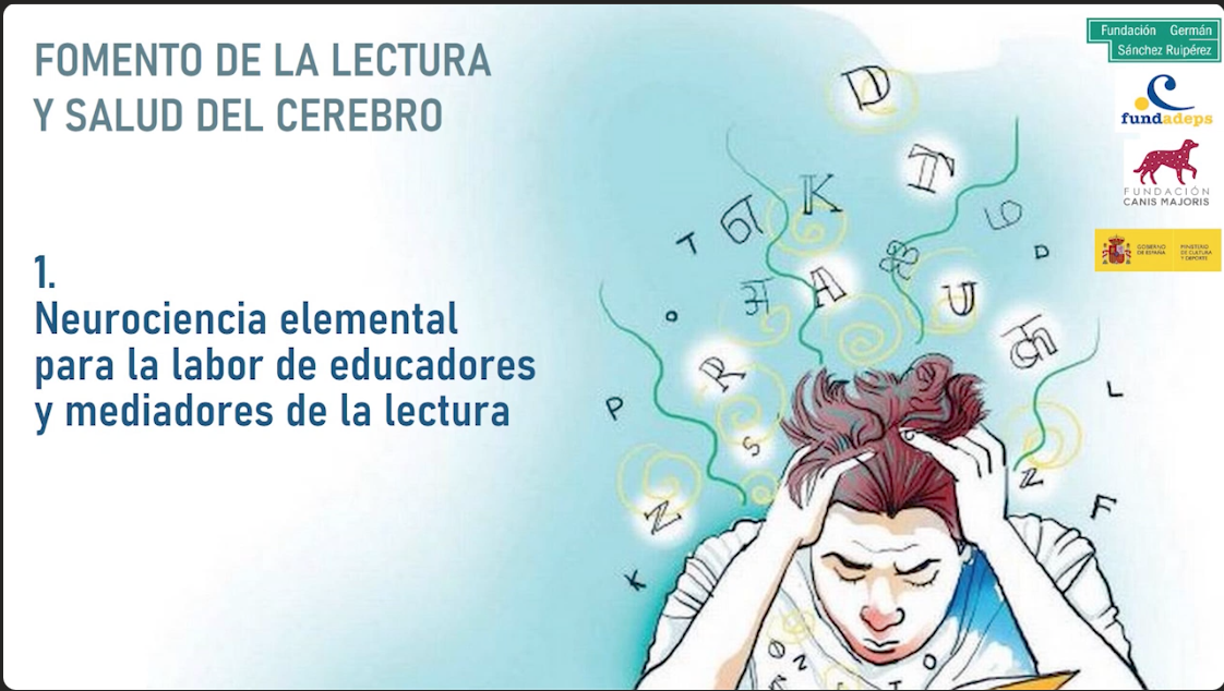 1. Neurociencia elemental para mediadores lyc_001