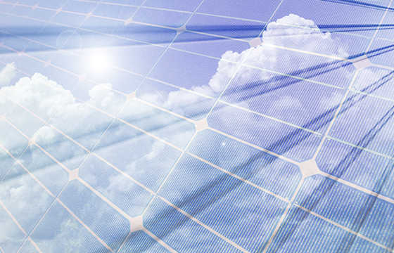 ORGANIZAR UN GRUPO DE LECTURA VIRTUAL RL003